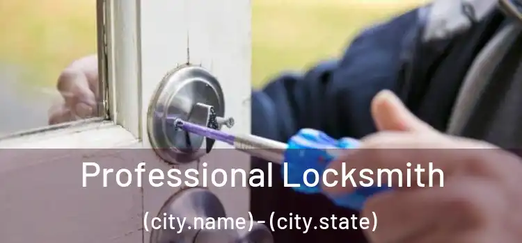 Professional Locksmith (city.name) - (city.state)